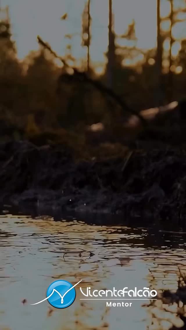 Instagram post from vicente.falcao. This post is in position 2.